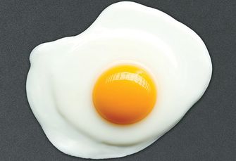 Black-and-Decker-GD2011B-Large-Electric-Griddle-eggs-gettrampoline.com